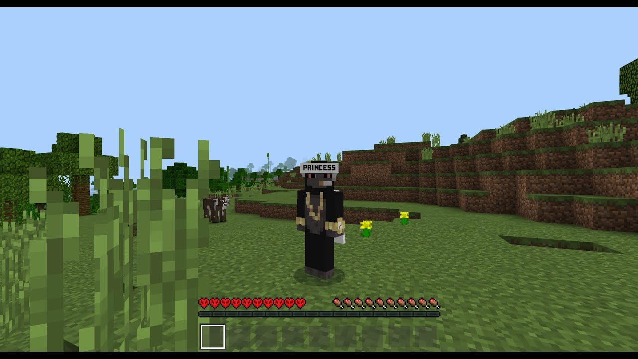 sage hcf montage