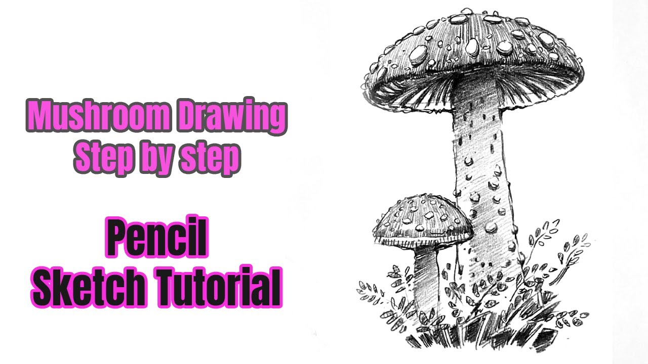 How to draw a mushroom step by step