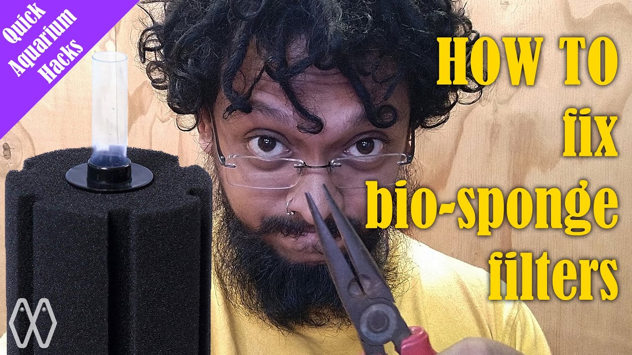 HOW TO fix bio sponge filters | Quick Aquarium Hacks