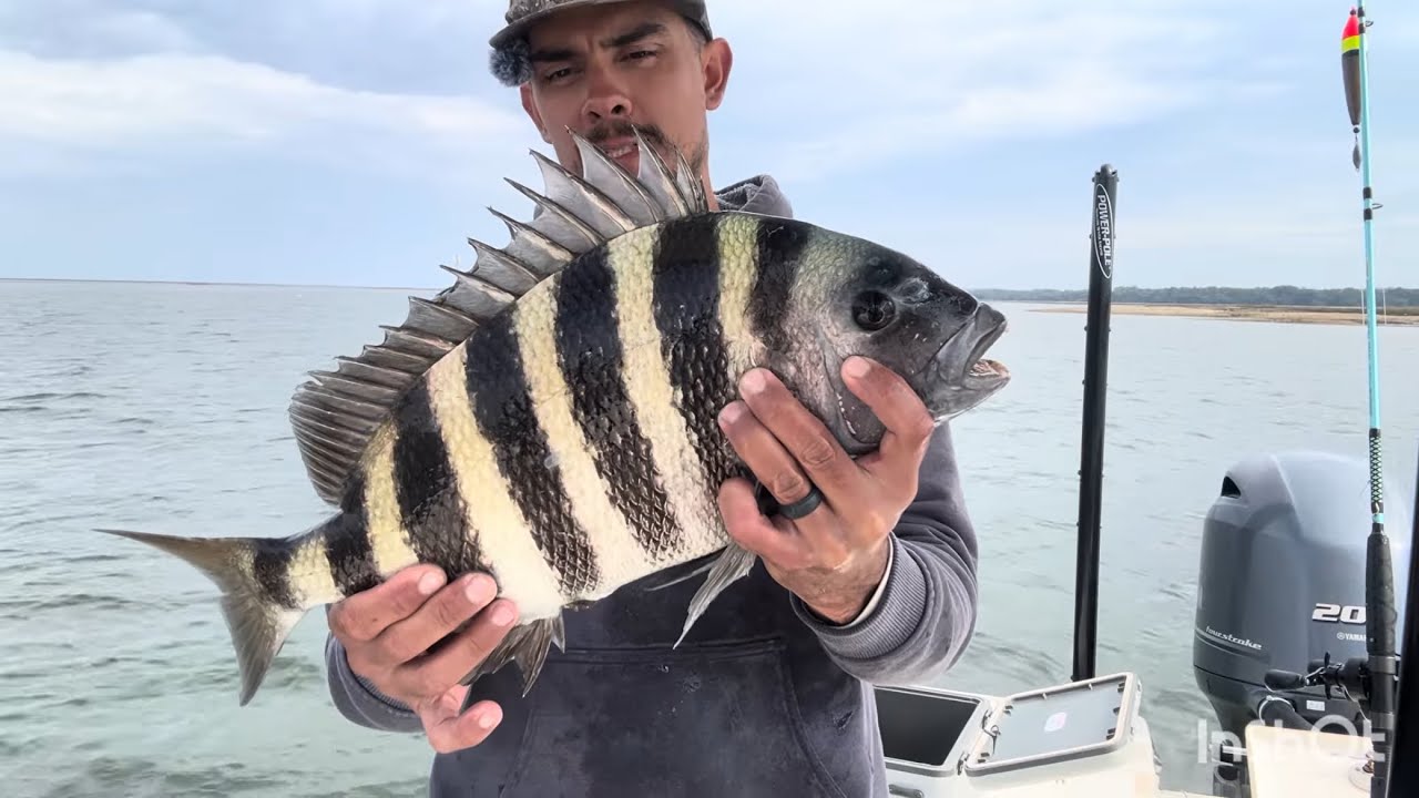 Jetty Snapper “Sheepshead” Ceviche (Clean and Cook)