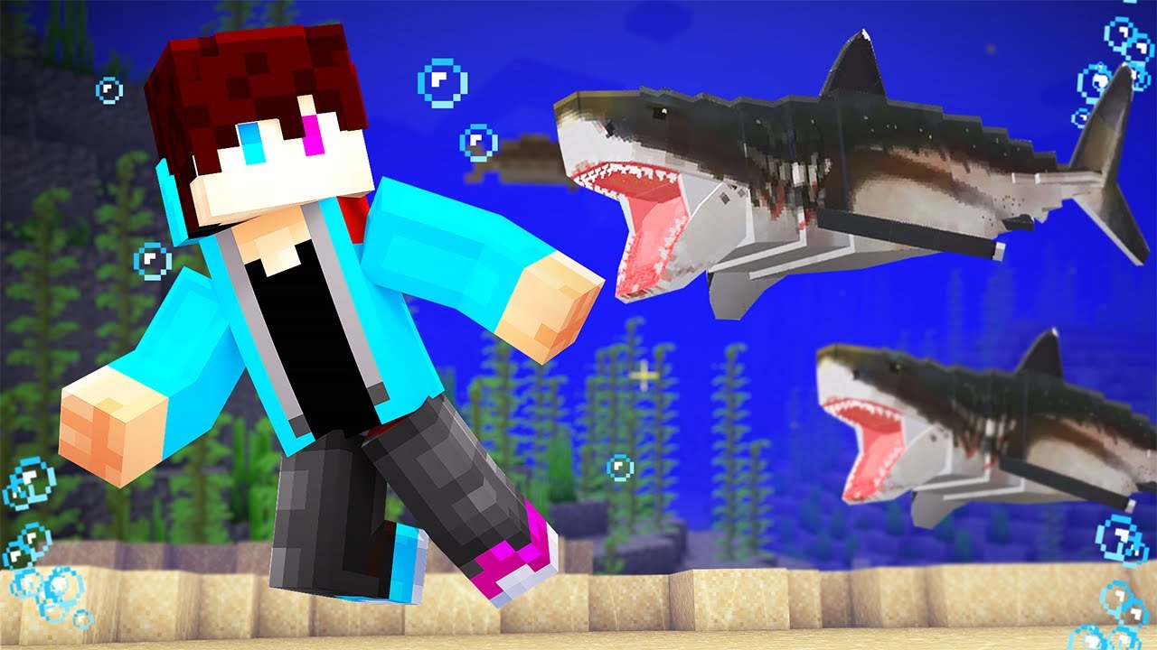 Ik Werd AANGEVALLEN Door Een HAAI In MINECRAFT!