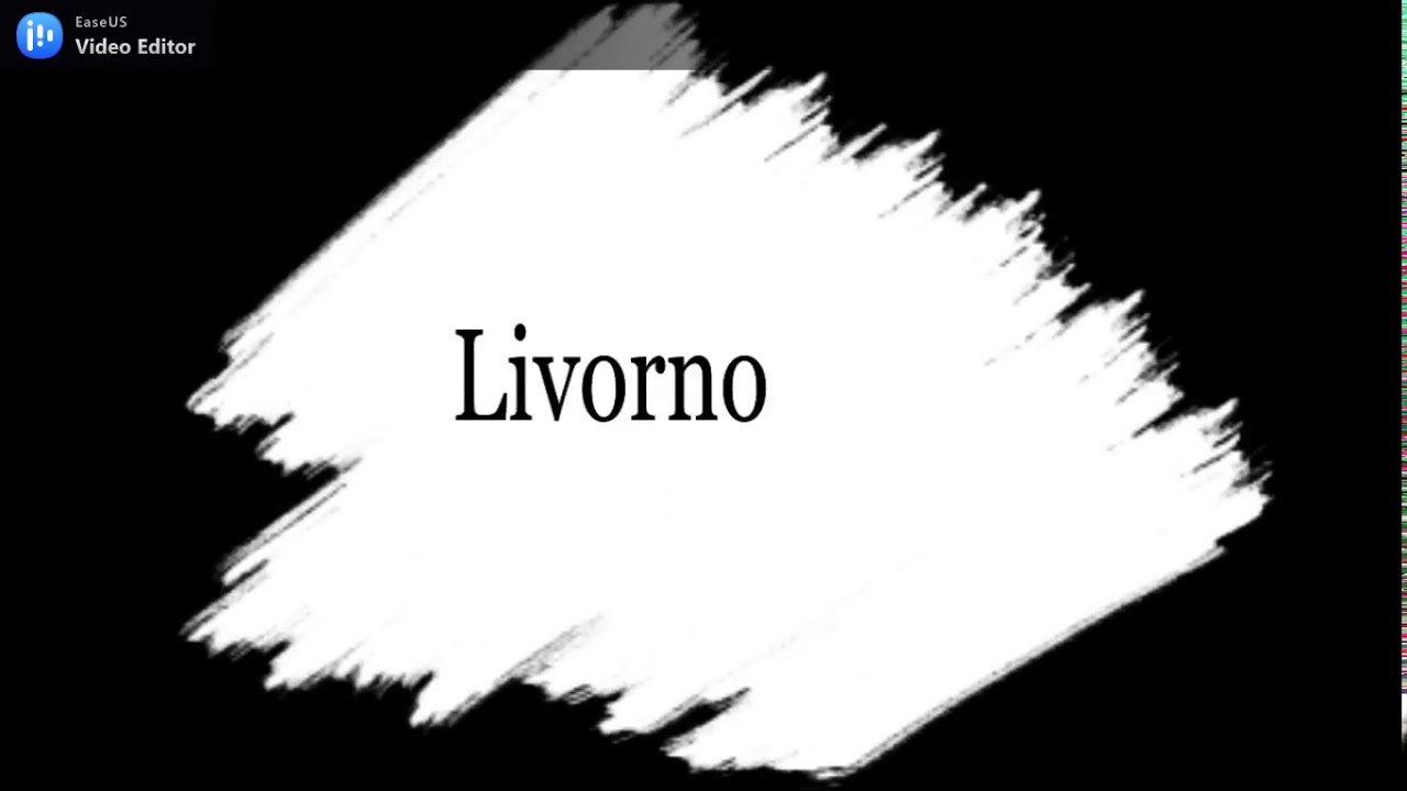 Livorno vista dall'alto. Drone sopra la città di Livorno
