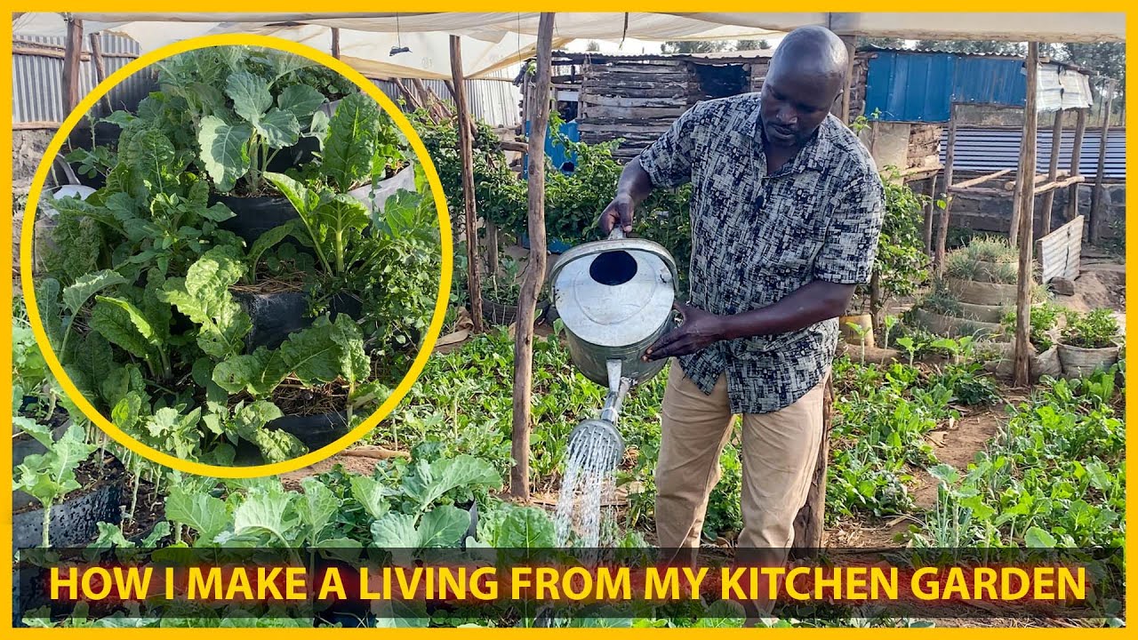 Kitchen Garden Farming || How I Make Money From My Kitchen Garden