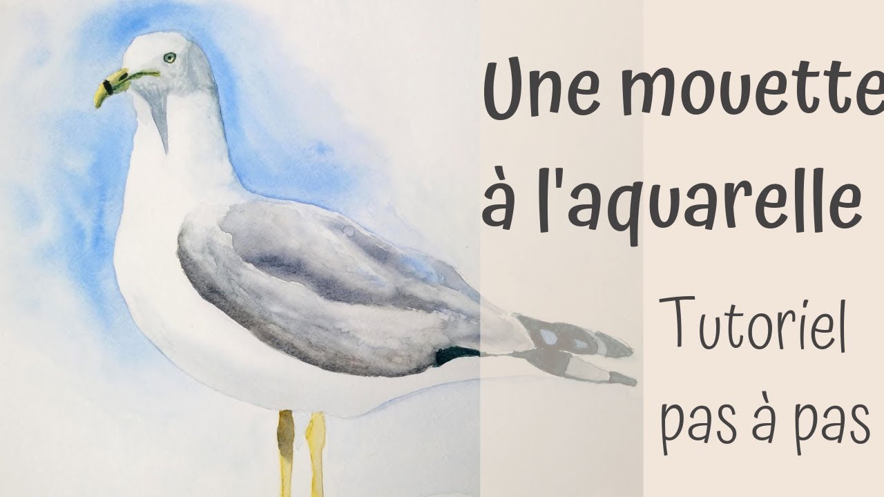 Tutoriel à l'aquarelle : une mouette pas à pas