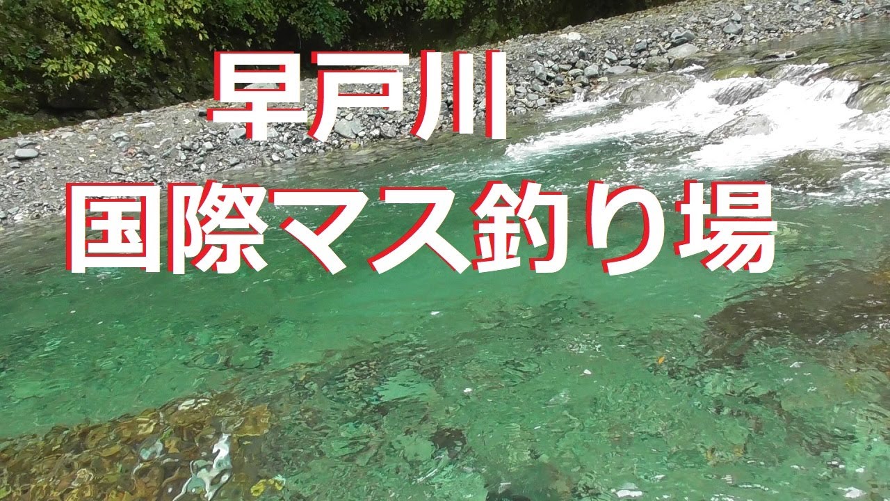 【早戸川国際マス釣り場】マス釣りとカワガラスと紅葉