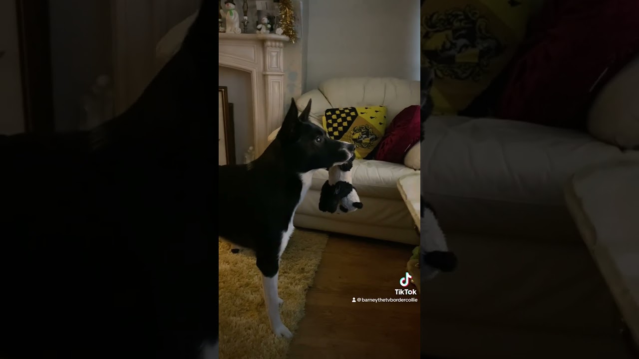 Barney loves the lion king
