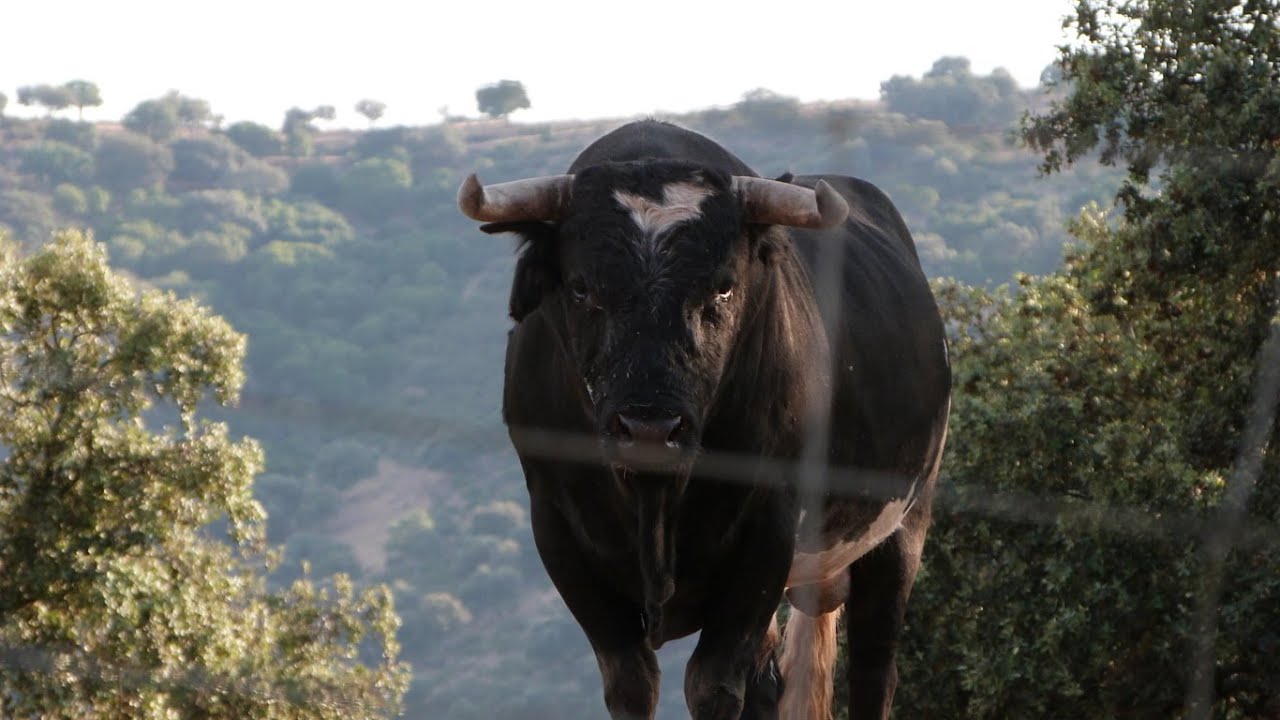 Sierra de Andújar, Parque Natural (Andalucía)