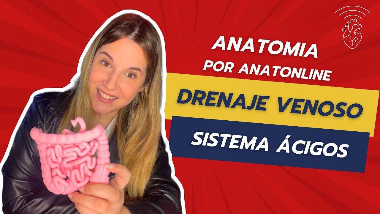 Curso completo de anatomia - Clase 39: Sistema Ácigos