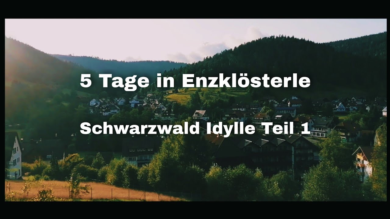Ankunft im Heidelbeer Paradies, Enzklösterle ❤️