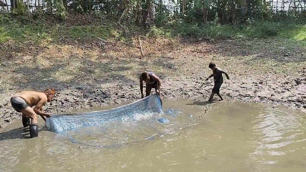 দেখিতো এখানে কি কি মাছ আছে