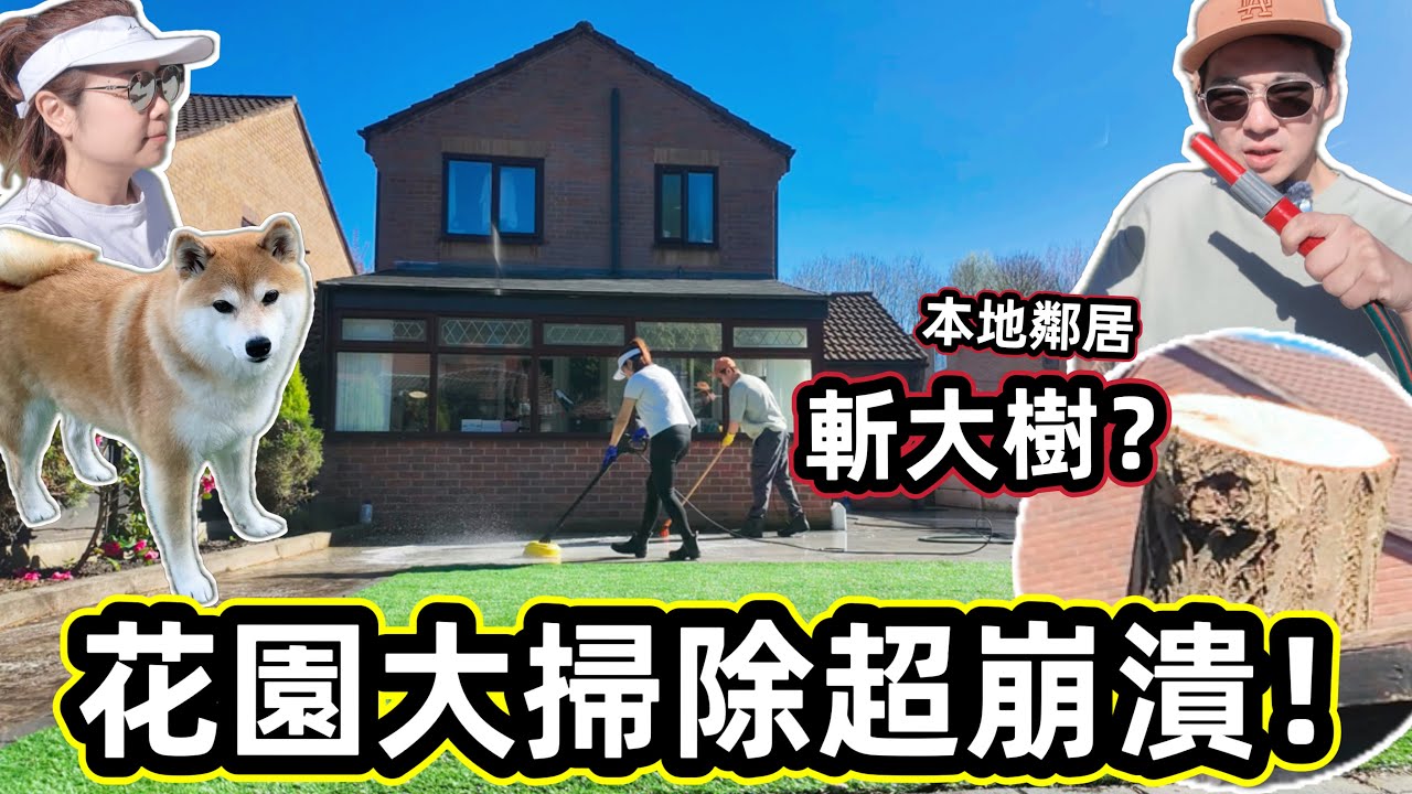 荒廢花園大掃除！本地鄰居竟然斬大樹🌳！？清潔到崩潰😭春家生活記錄🔥 @shibaharumaki