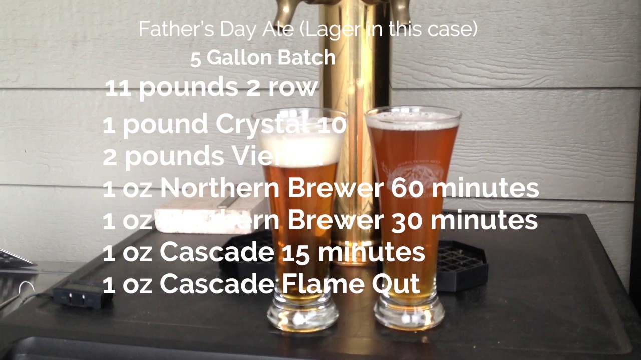 Saflager 34/70 lager yeast at ale temperatures follow up AND follow up on gelatin to clarify