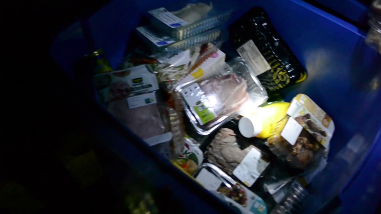 Dumpsterdiven
