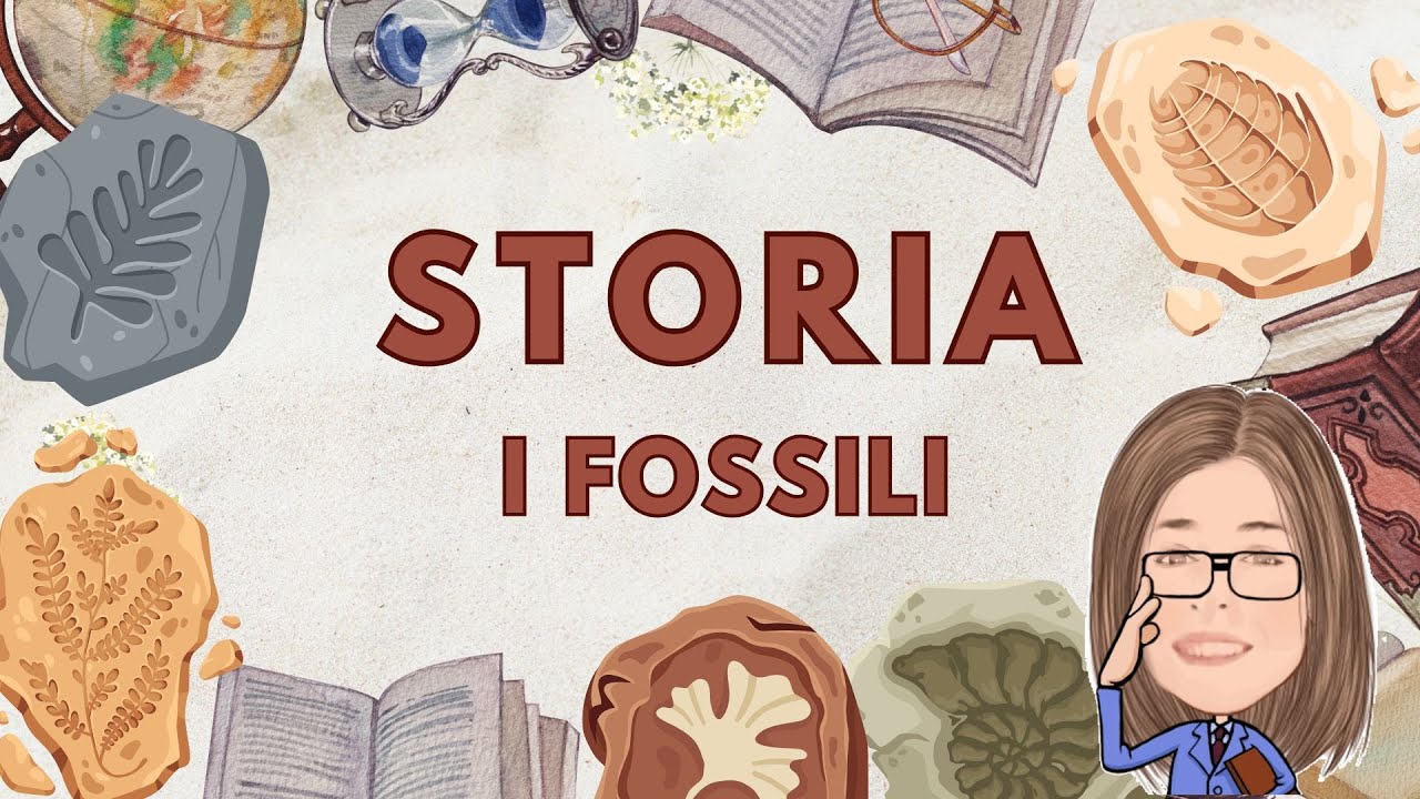 I Fossili⛏️🗿 #perte #maestraprimaria #scuola #storia #curiosità