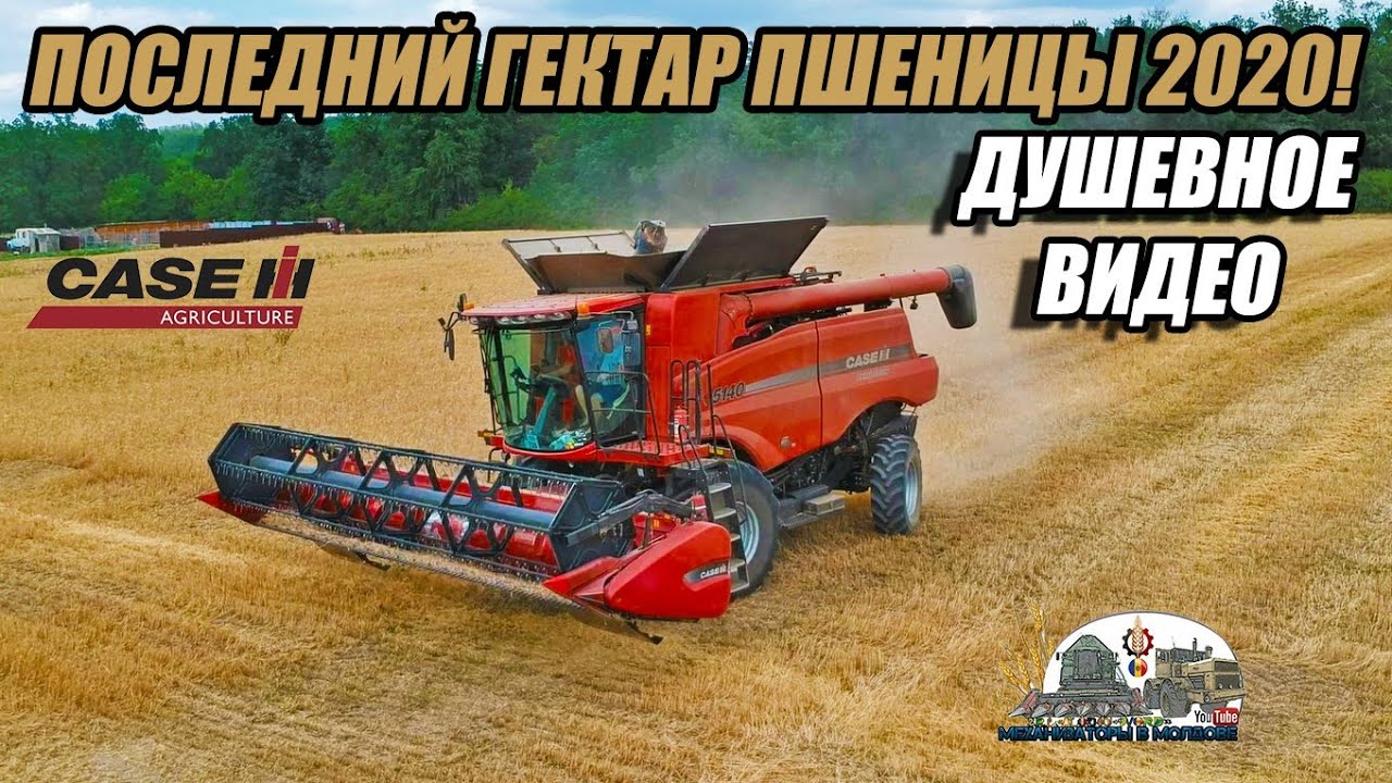 Душевное видео про Уборочную зерновых 2020 в Rădoaia!Последний гектар пшеницы!Комбайн Case IH 5140 !