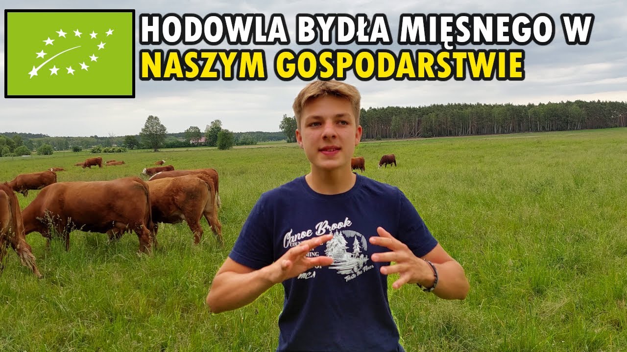 Jak utrzymać 150 sztuk bydła w gospodarstwie ekologicznym ???