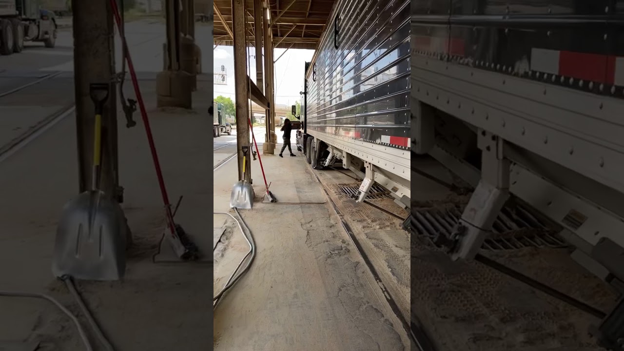 Unloading a Hopper bottom trailer