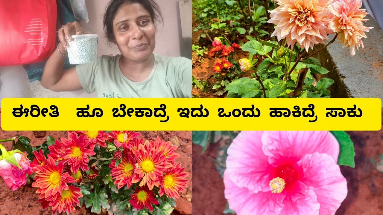ಉಂದು ಒಂಜಿ ಪಾಂಡ ಯಾವುಂಡು ಎತ್ಲ ಪೂ ಆಪುಂಡು #samruddhituluvlog