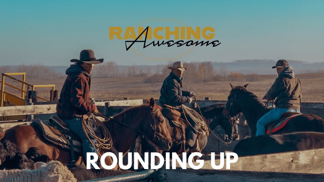 Bringing Cows Home for the Fall || RANCHING AWESOME