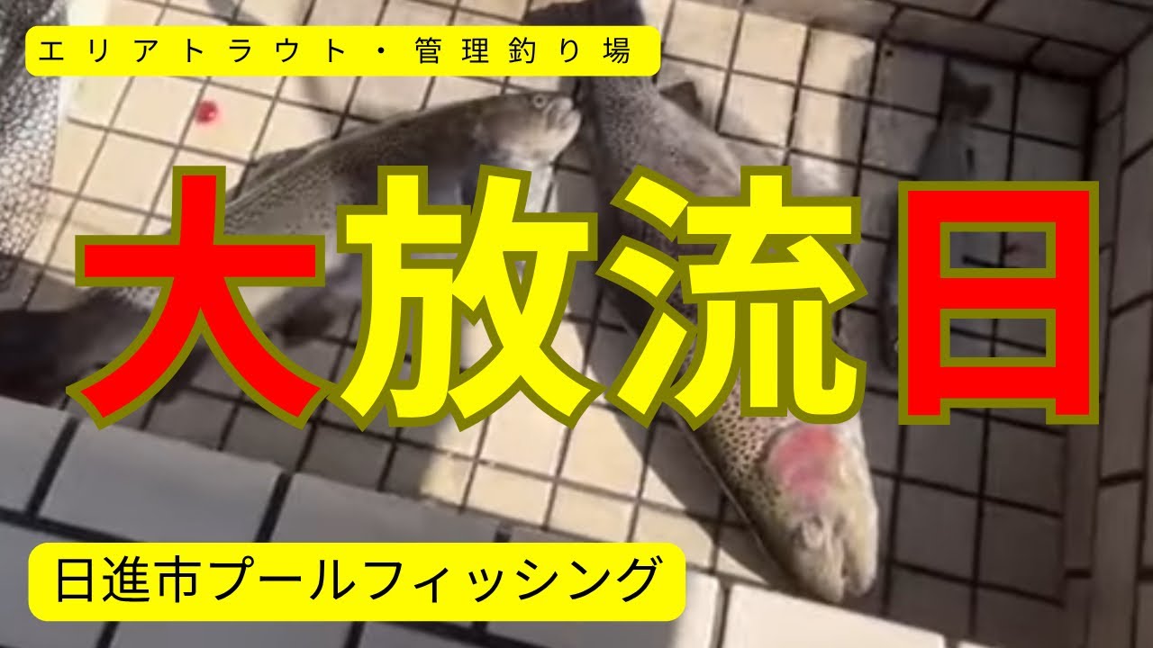 初心者でも釣れる日進市プールフィッシングの大放流【エリアトラウト・管理釣り場】