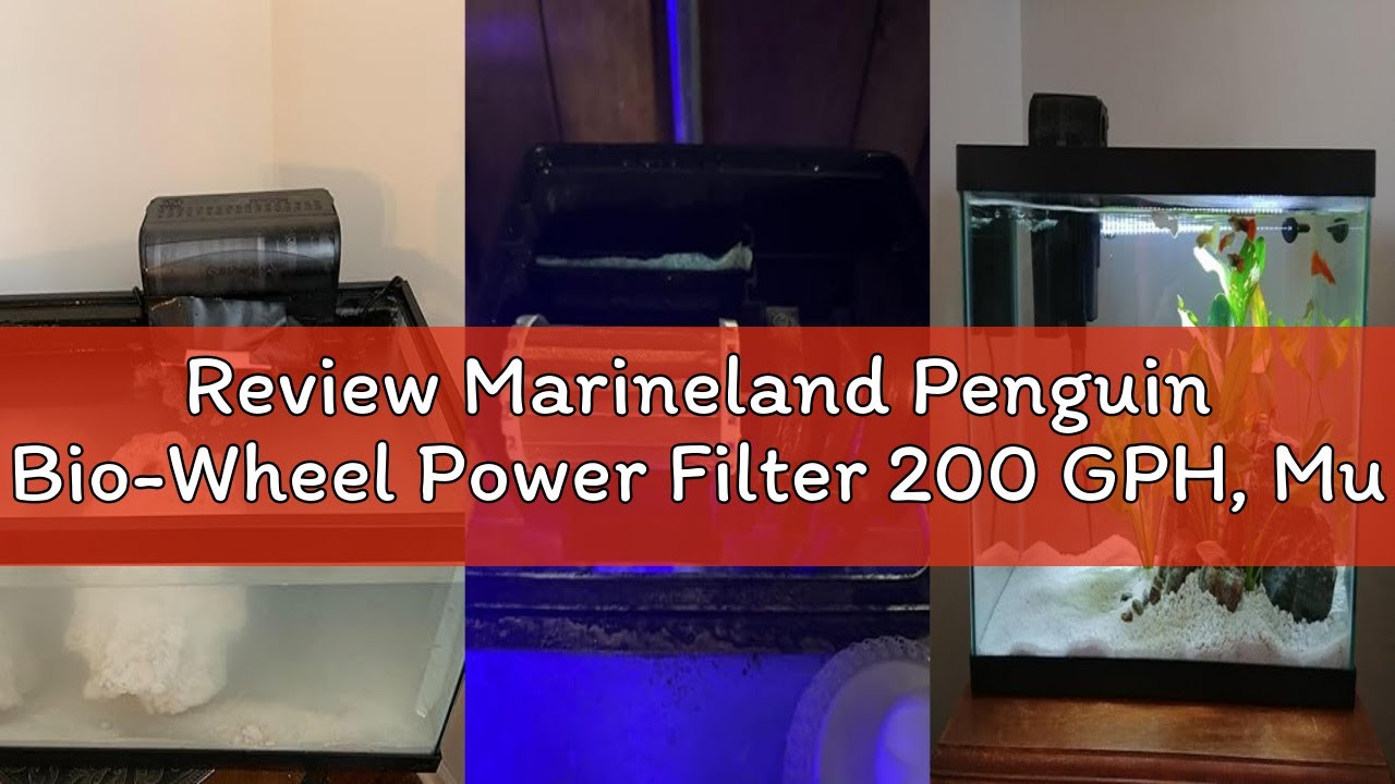 Review Marineland Penguin Bio-Wheel Power Filter 200 GPH, Multi-Stage Aquarium Filtration