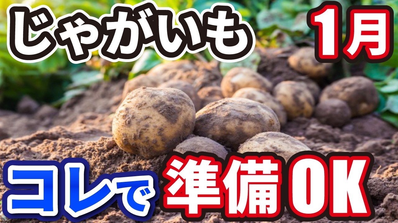 【じゃがいも】すぐ準備して！植付け前にすべき重要作業