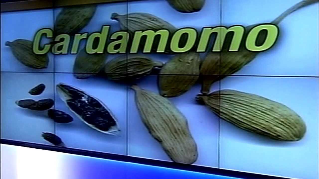 Dr. Cormillot | Cardamomo, semillas para un buen aliento