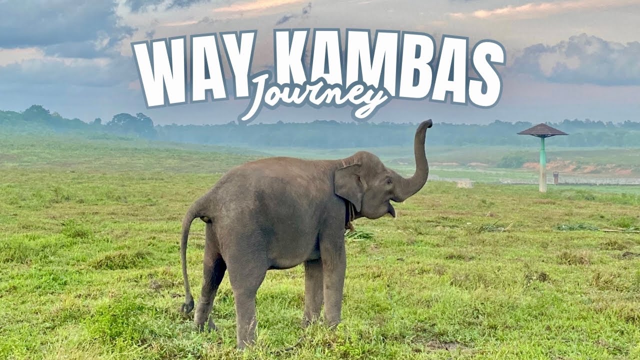TAMAN NASIONAL WAY KAMBAS - Eps 2 INFO BUDGET ‼️BAYI GAJAH GEMES🐘 - UPACARA BARENG GAJAH #waykambas 
