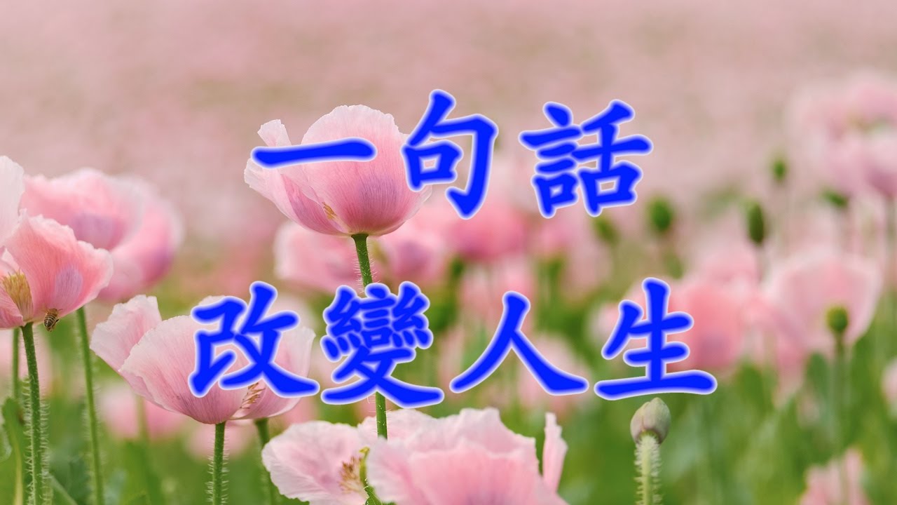 [細説人生] (粵語，中文字幕) – 一句話改變人生。克裡斯‧諾爾頓是一位勵志演說家，他認為人的語言有成就人或傷害人的“神奇力量”。他本人就是因為一位醫生的一句話，從而改變了他的一生。