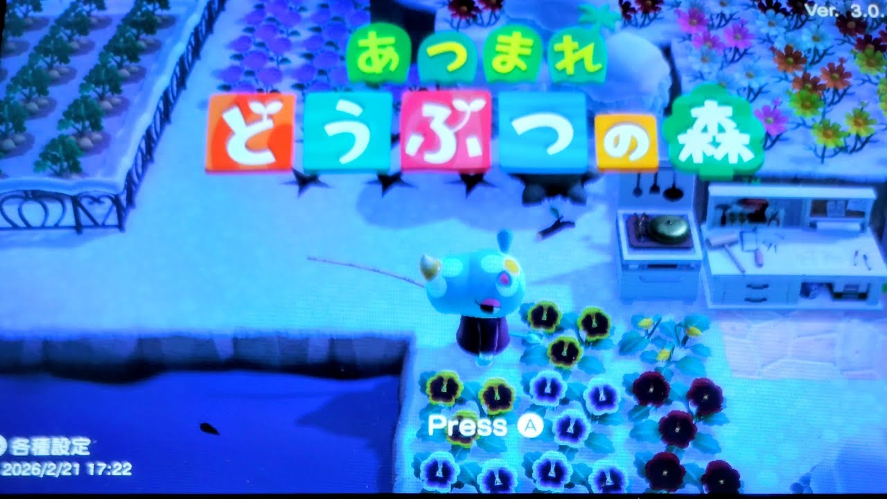 【あつ森】あつまれ どうぶつの森  2月最後の土曜日!!