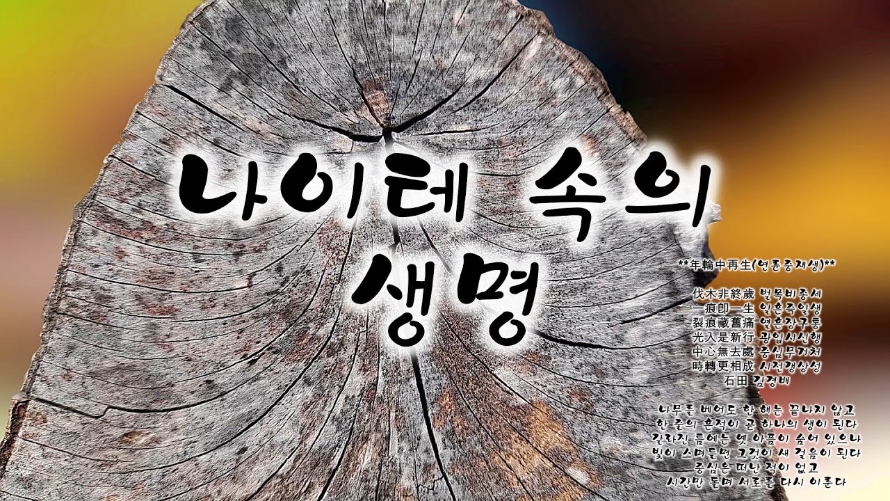 나이테 속의 생명