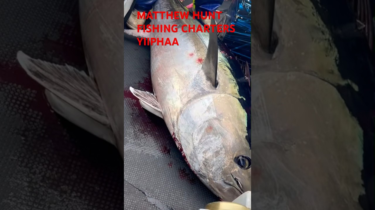 Рыболовные чартеры Мэтью Ханта #шорты #youtube #рыбалка #тренд #вирусноевидео #океан #лодка #тунец
