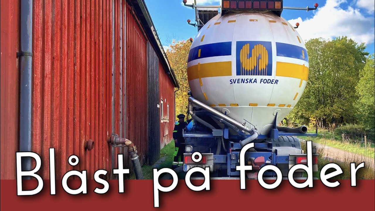 Silon blåst på värpfoder