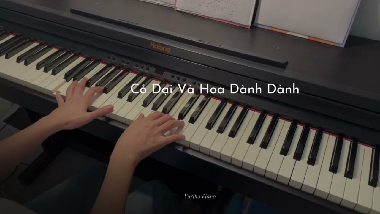 Cỏ Dại Và Hoa Dành Dành l Piano Cover