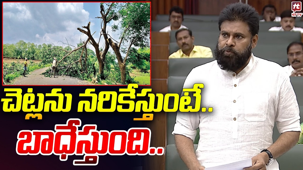 చెట్లను నరికేస్తుంటే ..బాధేస్తుంది...| Pawan Kalyan Speech at trees | @HitTVNow