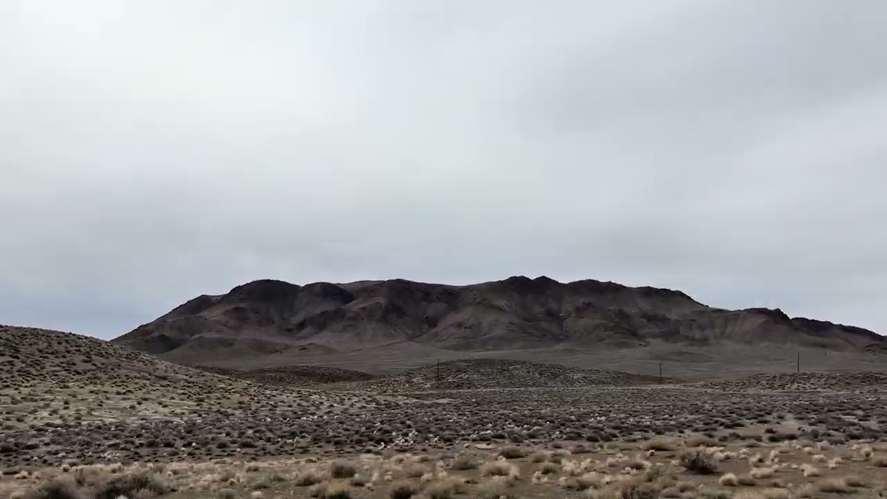 Leg Home