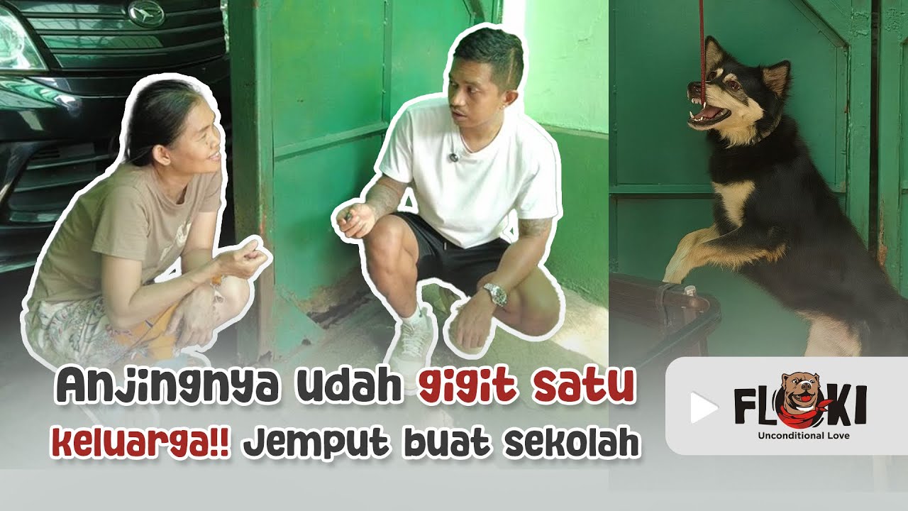 MURID BARU FLOKI DOG ACADEMY !! UDAH GIGIT SATU KELUARGA