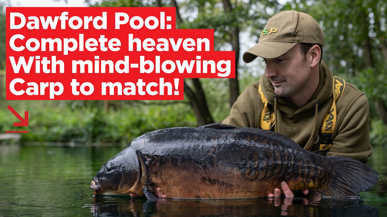 Carp Fishing Open Access Venues Series: Dawford Pool | Carp Fishing 2020