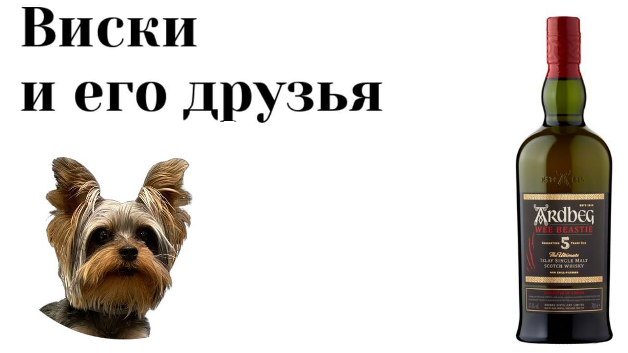 Дегустация островного виски Ardbeg Wee Beastie. Дегустация дыма 29