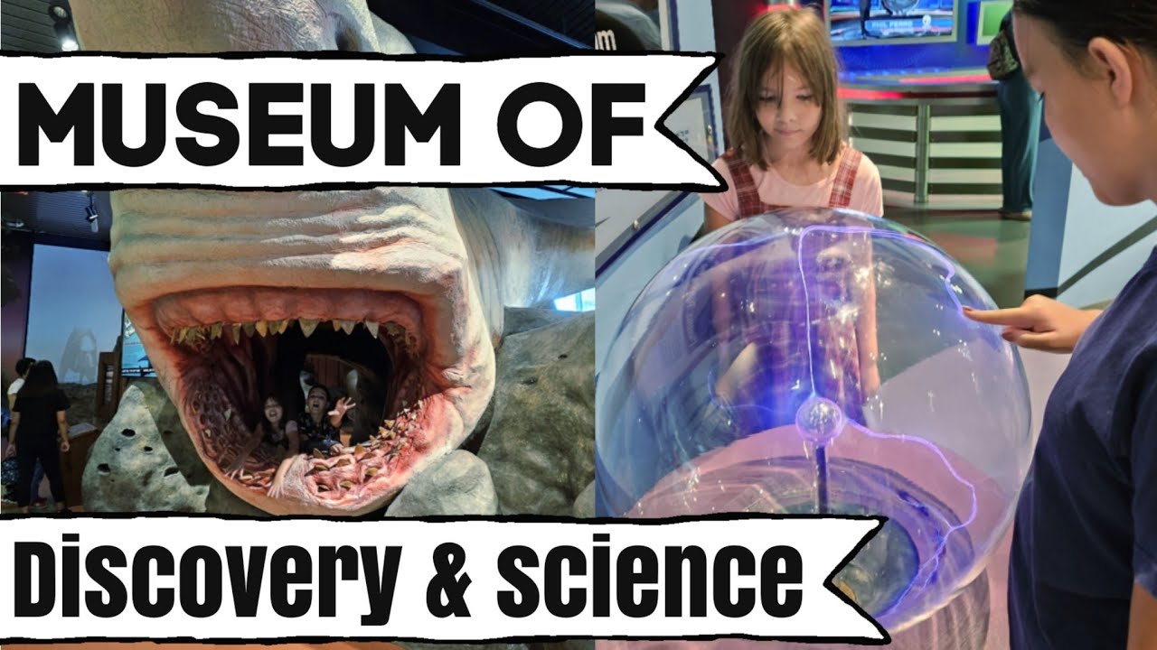 Visit the Museum of Discovery and Science with us!! Fort Lauderdale