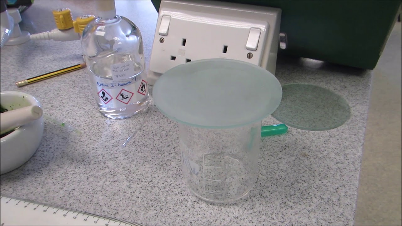 TLC (thin layer chromatography) of pigments from spinach