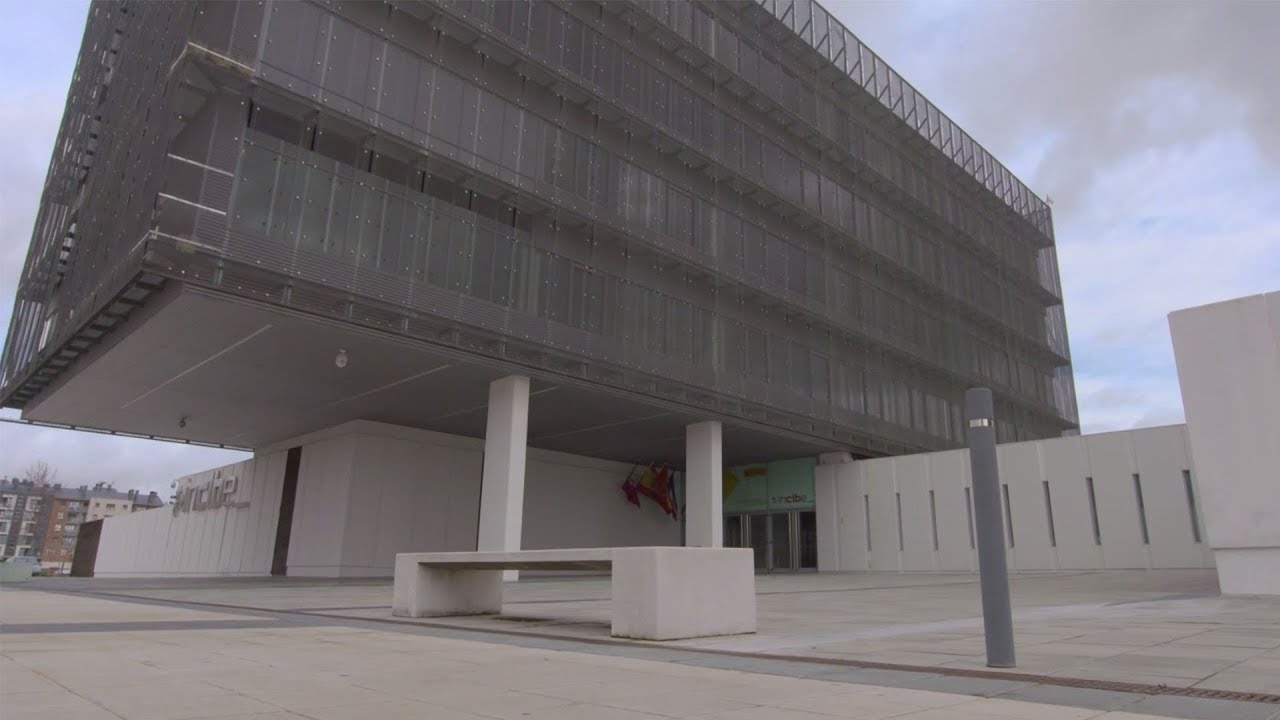 Instituto Nacional de Ciberseguridad de Espa&ntilde;a (INCIBE)