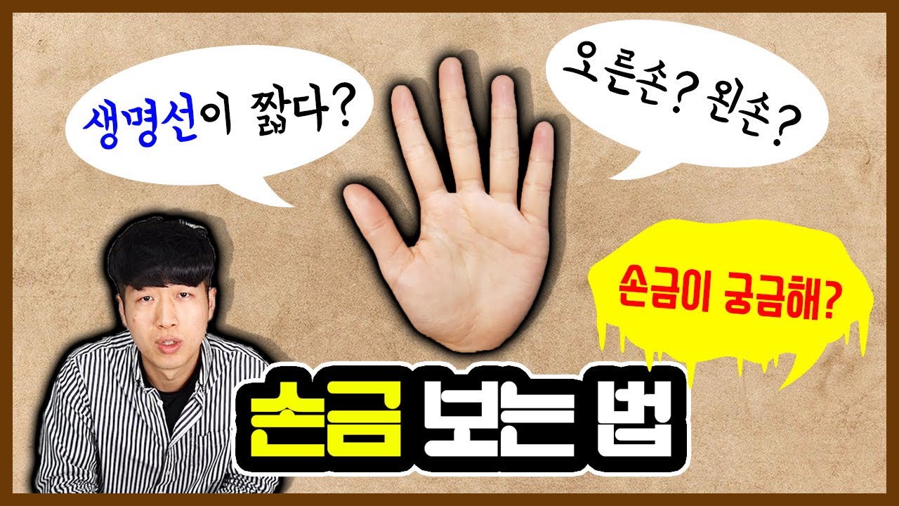 손금으로 보는 나의 운명과 미래 모습 Feat 손금보는법