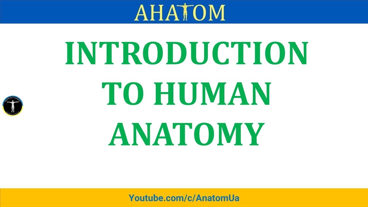 INTRODUCTION TO HUMAN ANATOMY. HISTORY OF THE ANATOMY