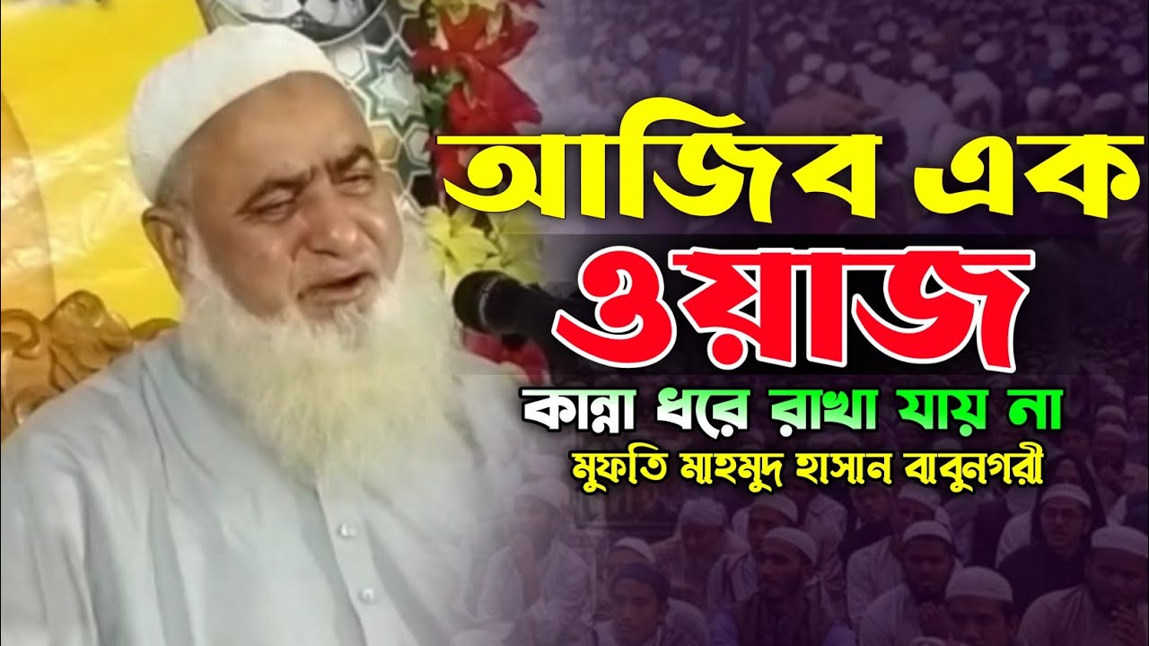 জাহান্নামের কঠিন শাস্তির বয়ানে কান্না ধরে রাখা যায় না। মুফতি মাহমুদ হাসান বাবুনগরী। New Bangla Waz