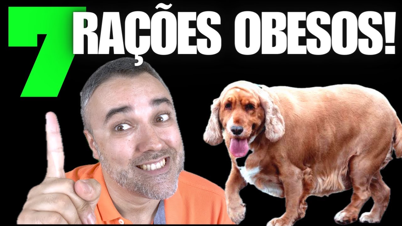 7 MELHORES RAÇÕES cães obesos!!