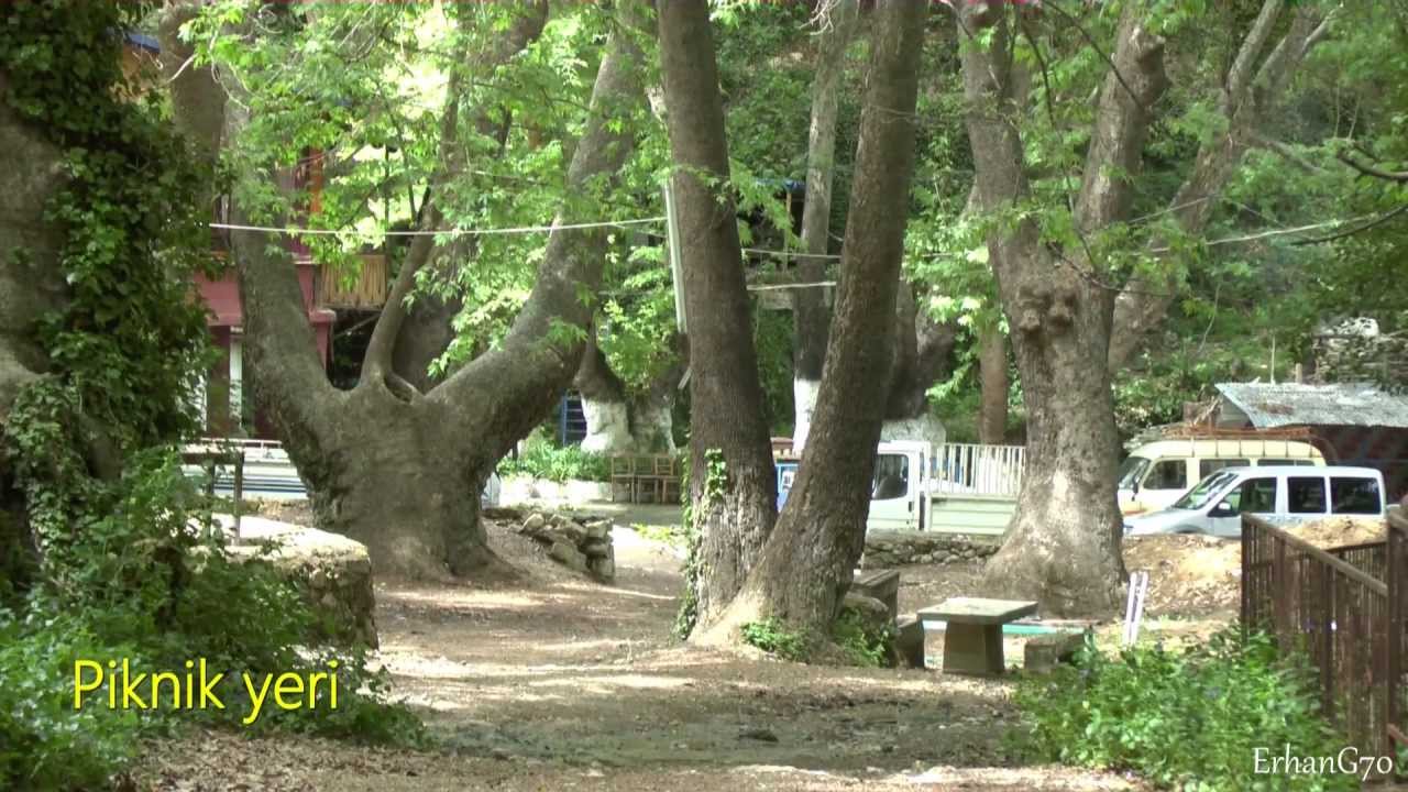 Ermenek Zeyve Pazarı - Piknik Alanı