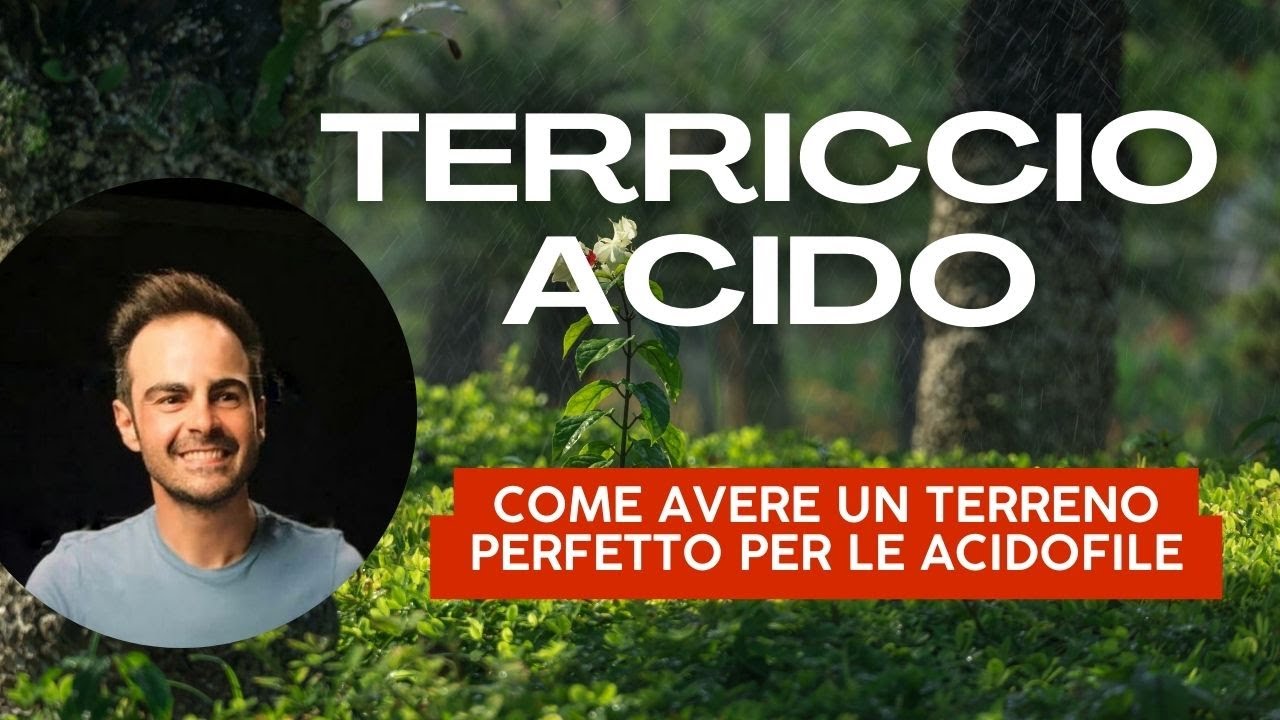 Come avere un terreno perfetto per le piante acidofile