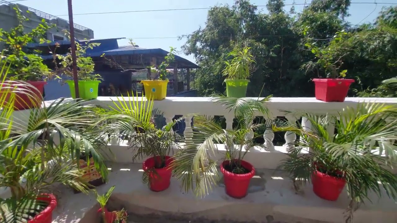 GARDEN LOVER ❤️❤️❤️