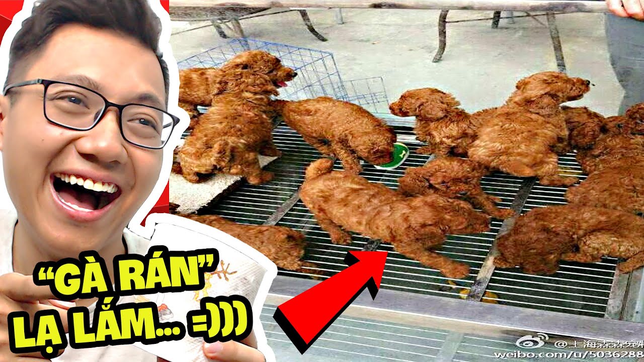 Đồ Ăn BỊ CẤM Nhưng Tôi Rất Muốn Ăn...